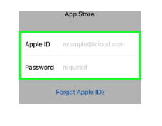苹果开发者企业账号-苹果账号
